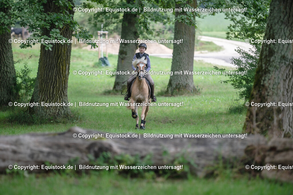 20250726_Vielseitigkeitslehrgang-Marbach_0198 | Foto: Thomas Hartig