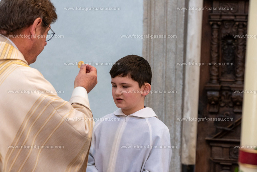 _DSC2738 | Hier finden Sie die Online Foto-Galerie von fotograf-passau.com und marius-handrugan.de. Suchen Sie sich direkt Ihre Lieblingsbilder aus, ob als Ausdruck oder Download. - Realisiert mit Pictrs.com