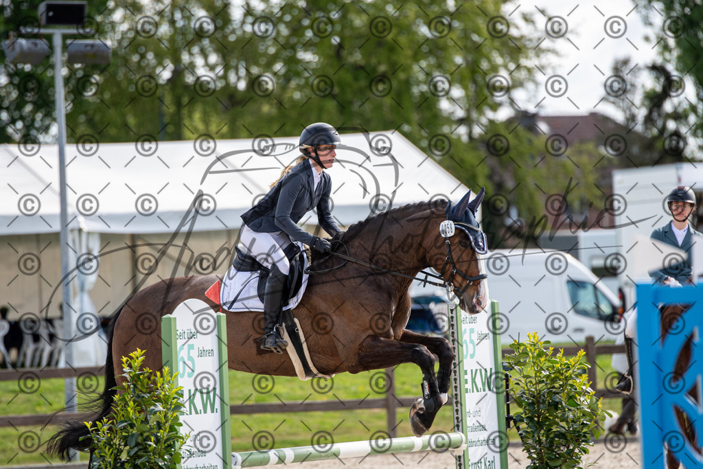 KPT_4792 | andre_photographic