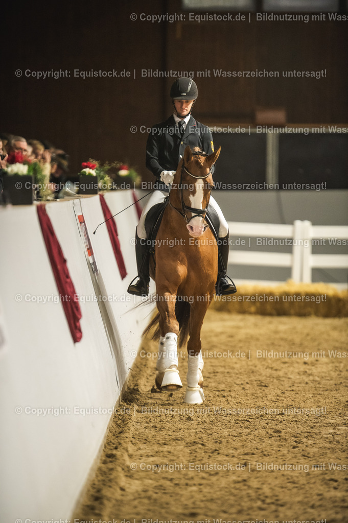 20240302_Hengstvorstellung_Marbach_TOMsPiC_0514 | equistock