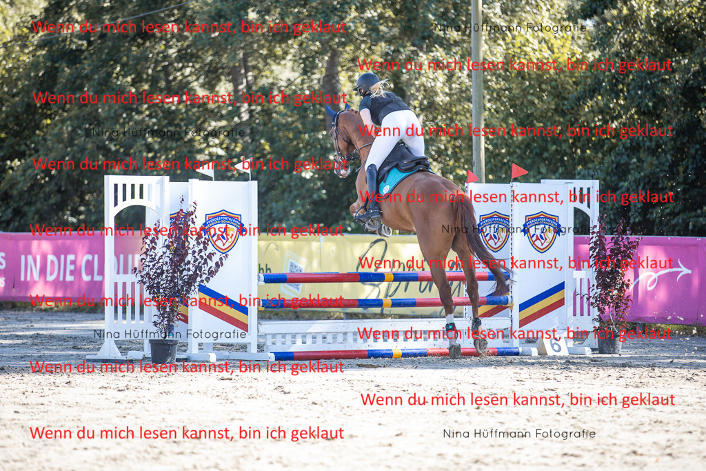 BK1A7202 | Turnierbilder Turnierfotos Nina Hüffmann Turnierfotografie Pferdefotografie Tierzeichnung Haustierzeichnung Pferdezeichnung Hundezeichnung Videograf  - Realisiert mit Pictrs.com