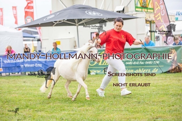 LTN STUTEN (529) | mandyhollmannphotographie