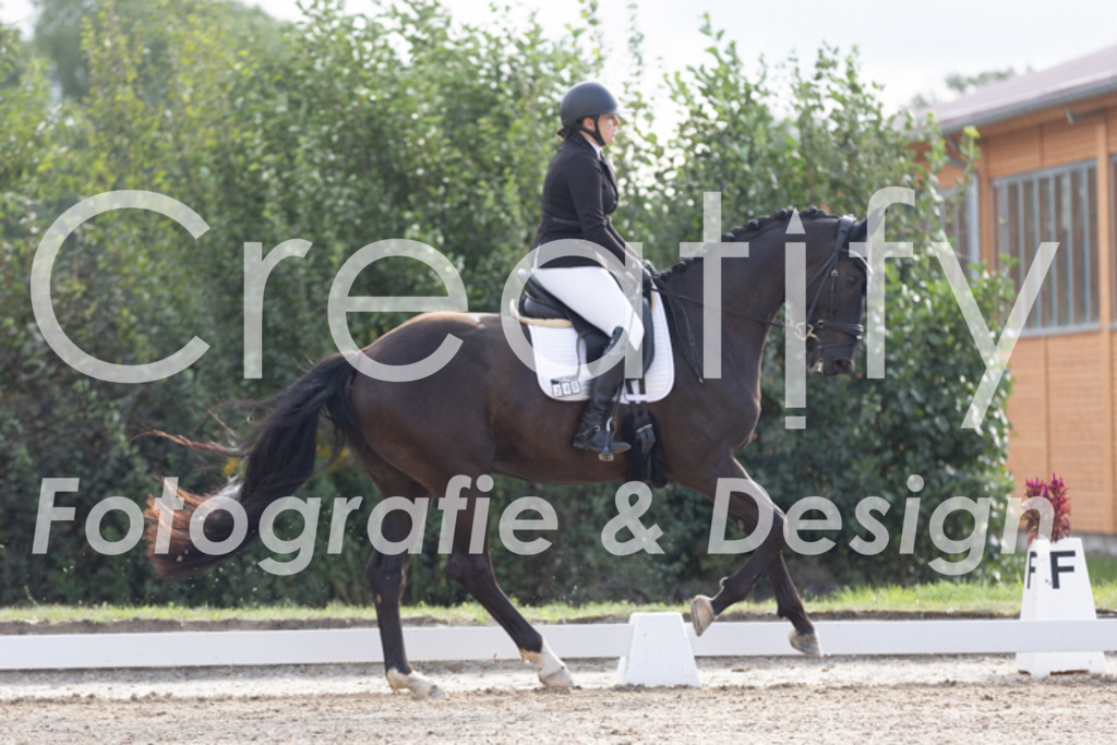 IMG_0282 | Creatify Fotografie