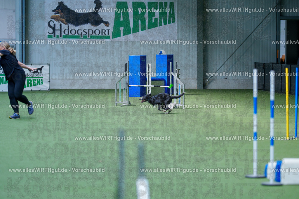 @allesWIRTHgut_Tierfotografie - www.allesWIRTHgut.de - 2604261348-7R502694 | Professionelle Tierfotografie in Mönchengladbach von Daniel Wirth (allesWIRTHgut). Liebevolle & natürliche Bilder von Hunden & Katzen für unvergessliche Erinnerungen.