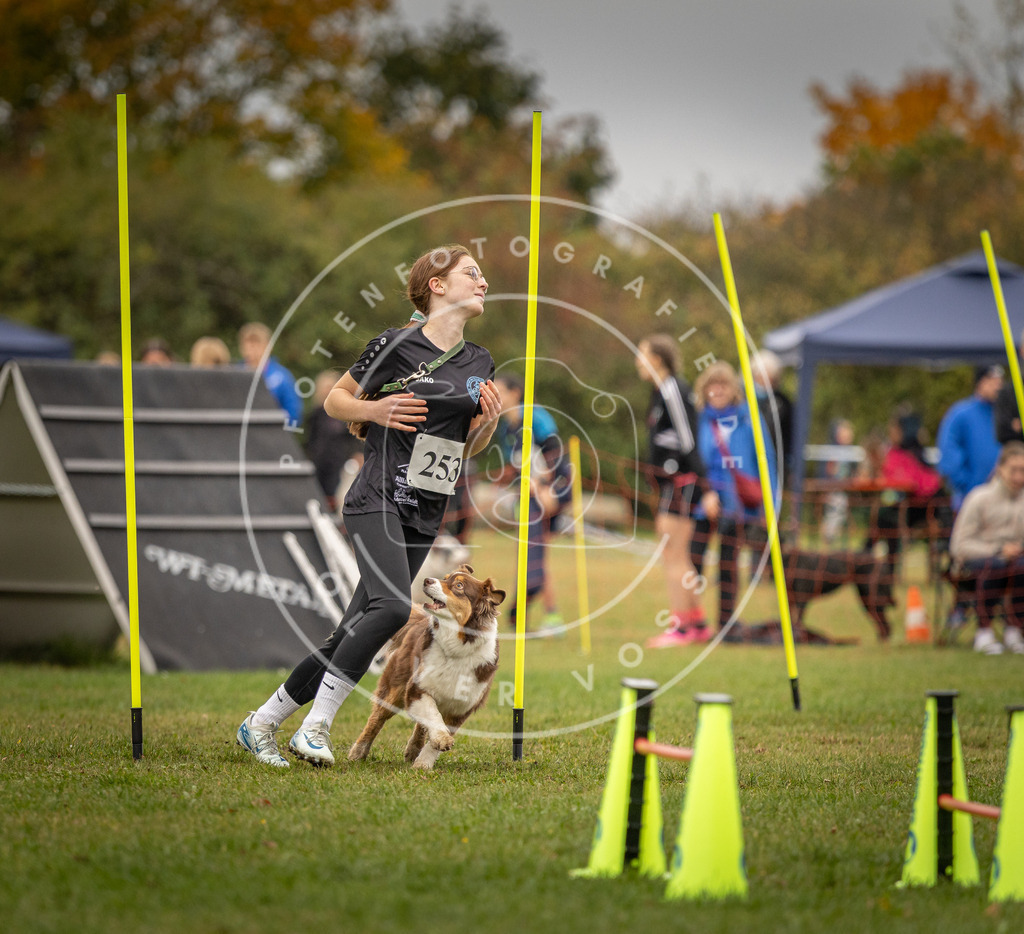 Pfotenfotografie_DV3A6512 | Hundefotografie, Tierfotograf, Pfotenfotografie, Fotoshooting Hund, Hunde Portrait, Hundesport, Hundeportraits, Heideshooting, Hunde, Sportfotograf, Hundefotograf, Turnierhundsport, THS,  - Realisiert mit Pictrs.com