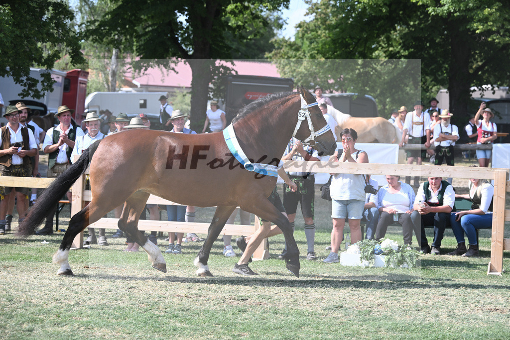 Kat-Nr. 52 Goldy_Weyer_20231615 | hf-fotografie - Realisiert mit Pictrs.com