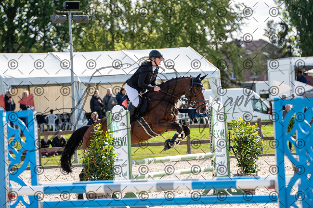 KPT_4603 | andre_photographic