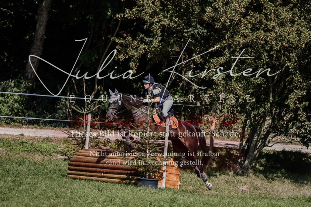 DSC_1777 | Pferde- und Turnierfotografie in Westsachsen. Pferdeportraits, Auftragszeichnungen und intuitive Kunst.