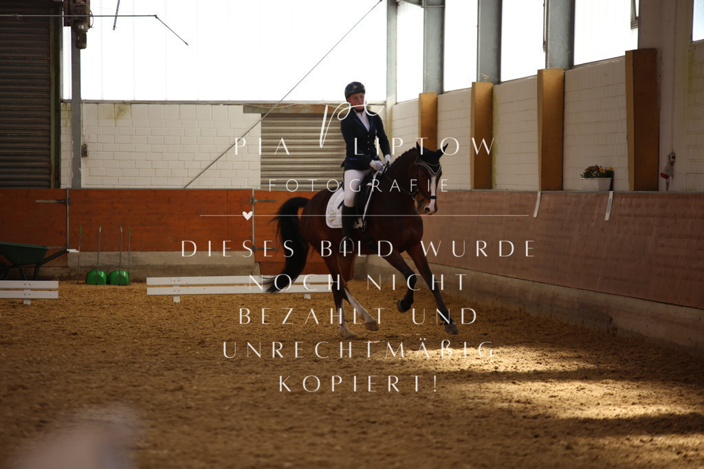 IMGT4426 | pl-fotografie