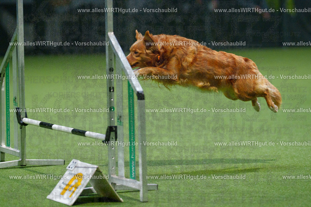 7R509648 | Professionelle Tierfotografie in Mönchengladbach von Daniel Wirth (allesWIRTHgut). Liebevolle & natürliche Bilder von Hunden & Katzen für unvergessliche Erinnerungen.