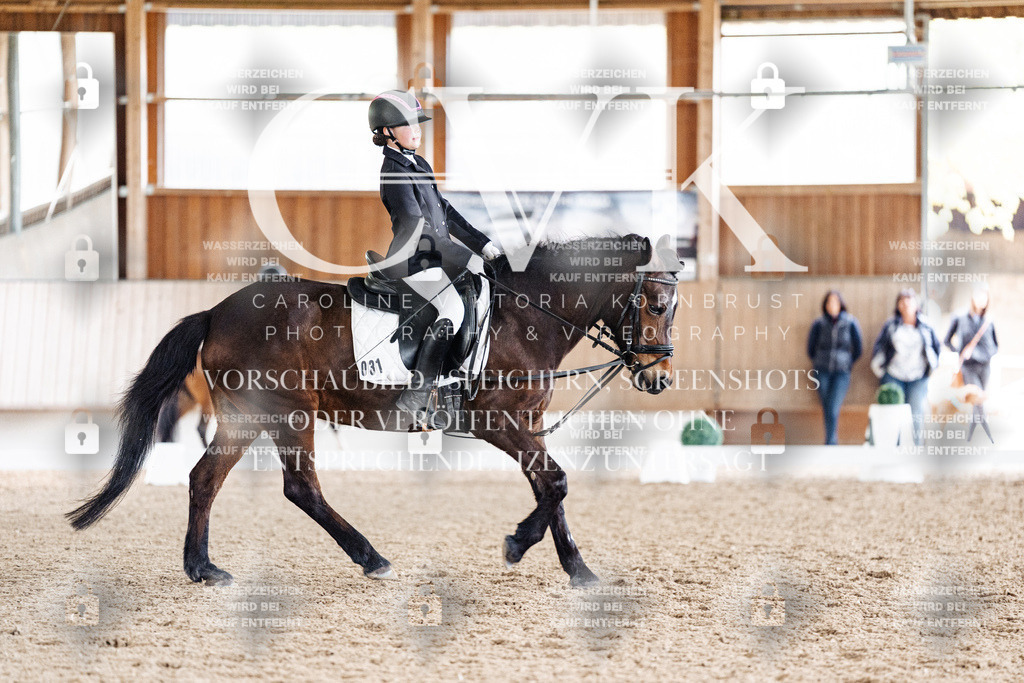 CK901295 | Turnierfotografie Pferdefotografie Trier Rheinland-Pfalz Pferdesport Reitsport Tierfotografie Sportfotografie Pferdevideo Pferdevideografie Equestrianvideography equestrianphotography  - Realisiert mit Pictrs.com