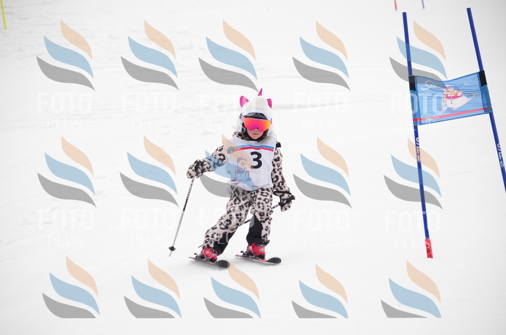 B9778 | holidayphoto