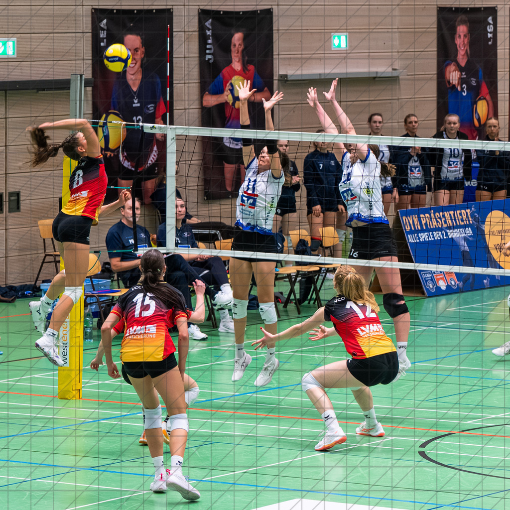 2. VBLF Nord 25/26 | Spiel 4154 | VC Osnabrück vs. VCO Münster | //  29.11.25: 2. VBLF Nord 25/26 | Spiel 4154 | VC Osnabrück vs. VCO Münster / Osnabrück / Deutschland  //   CREDIT:www.bullenfotos.de, Martin König, Hörner Weg 40, D-49078 Osnabrück, +4917663732967 // Nutzung und Weitergabe nur zu den vereinbarten Zwecken. Presseanfragen an Ersteller. Alle Rechte beim Ersteller. Honorierung nach MFM. - Realisiert mit Pictrs.com