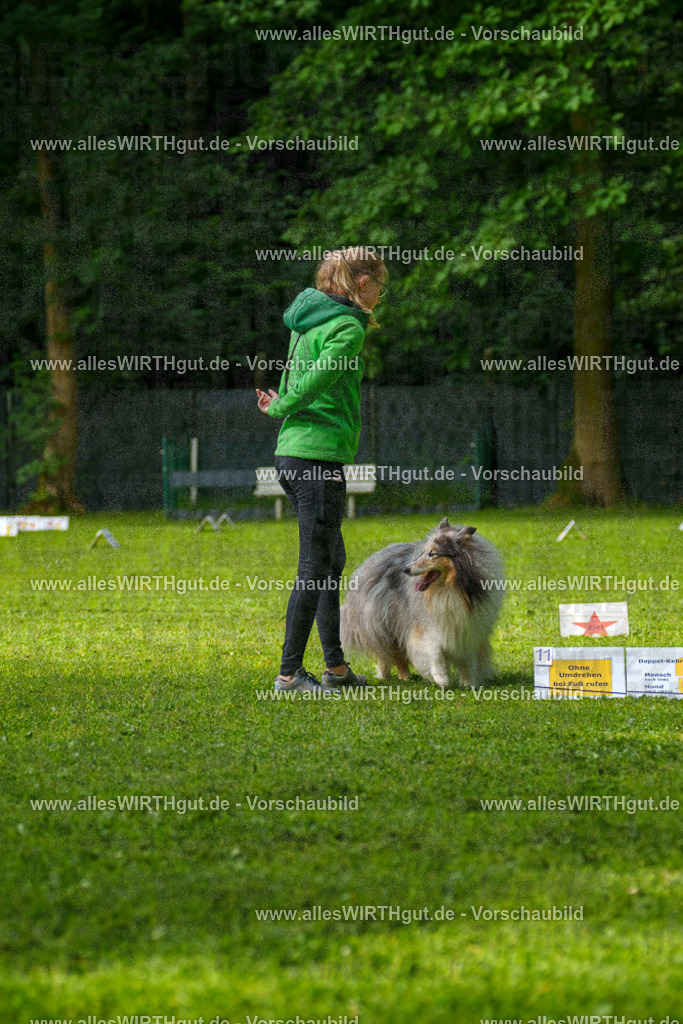 @allesWIRTHgut_Tierfotografie - www.allesWIRTHgut.de - 7R502155 | Professionelle Tierfotografie in Mönchengladbach von Daniel Wirth (allesWIRTHgut). Liebevolle & natürliche Bilder von Hunden & Katzen für unvergessliche Erinnerungen.