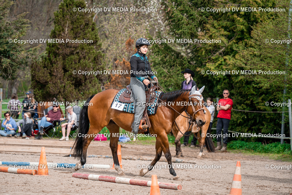 BAL02665 | dv-media-shop - Realisiert mit Pictrs.com