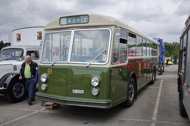 Calag_Oldtimer2025-04 | Ich fotografiere Hundeausstellungen, Sportanlässe, Zuchtstätten, Hundezucht, Hundeportrait, Lagotto - Realisiert mit Pictrs.com