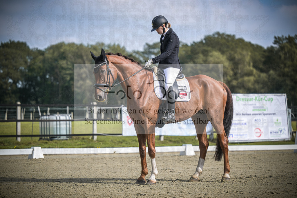 DOS_B676 | Entdecke hochwertige Reitturnierfotos von Foto Oger. Professionell, emotional und authentisch – jetzt Lieblingsmomente im Shop bestellen.Deutschlandweite Turnierfotografie. - Realisiert mit Pictrs.com