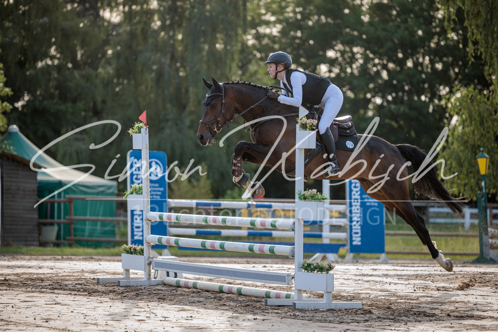 20260529-_3LI0974 | Tierfotografie Pferde, Hunde, Katzen, Haustiere.
Turnierfotografie Reitturniere, Reiten, Springreiten, Dressur in Hanau, dem Main-Kinzig-Kreis und dem Rhein-Main- Gebiet um Frankfurt