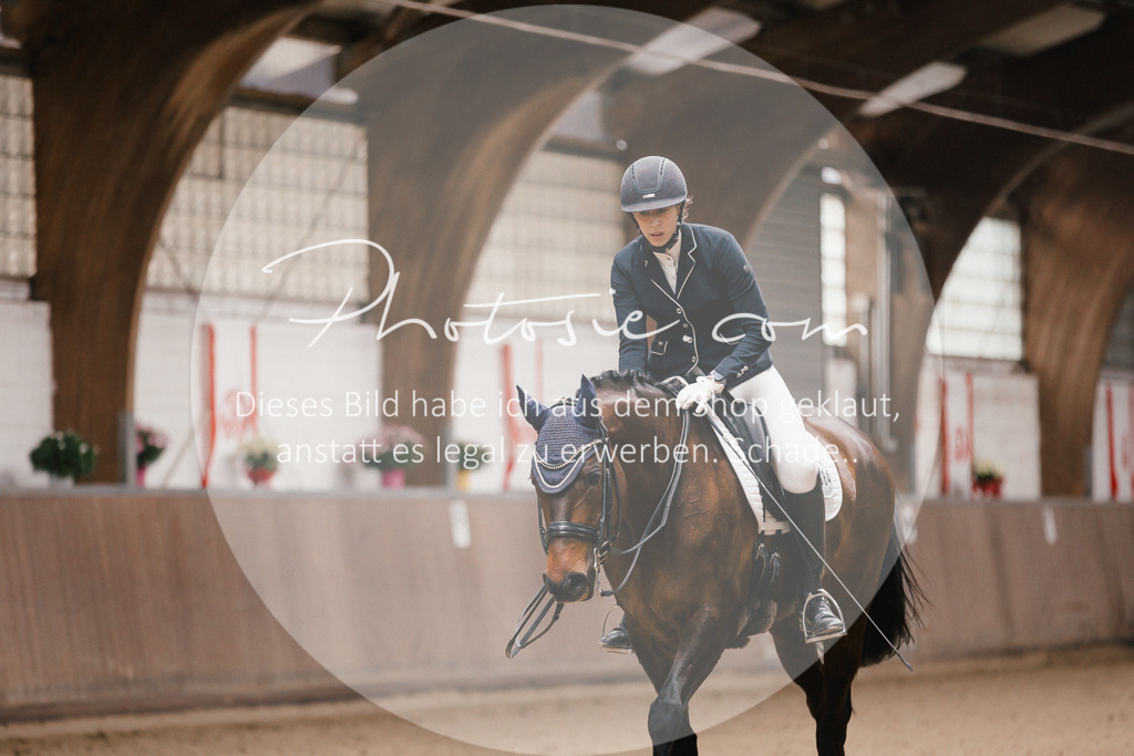 3I6A8801 | Stimmungsvolle Portraits und Reitsportfotografie im Ruhrgebiet und im Münsterland.

Pferdefotografie, Hundefotografie, Tierfotografie, Reportagen, Portraits von Tier und Mensch, Turnierfotografie in Bochum, Recklinghausen, Marl, Haltern am See, Dülmen.. - Realisiert mit Pictrs.com