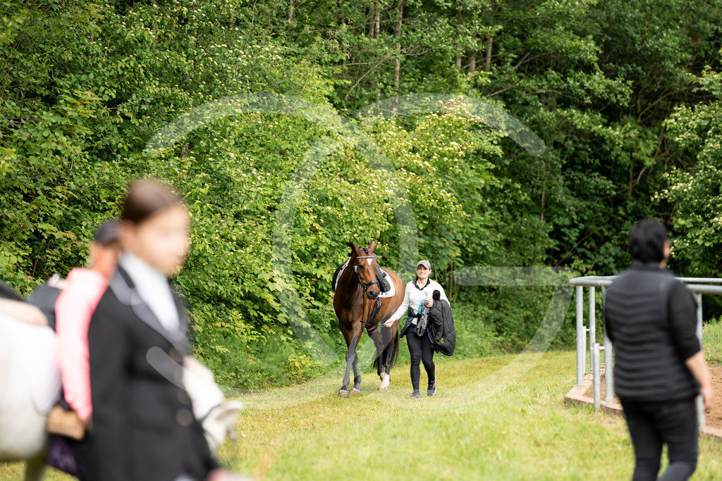 DSC08313 | Carolin Gieschke