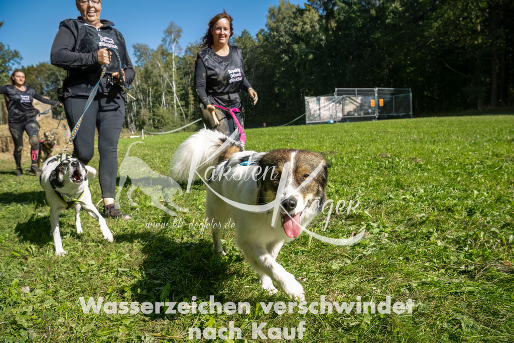 1246_ZZ92333-2-Bearbeitet | kk-dogfotos