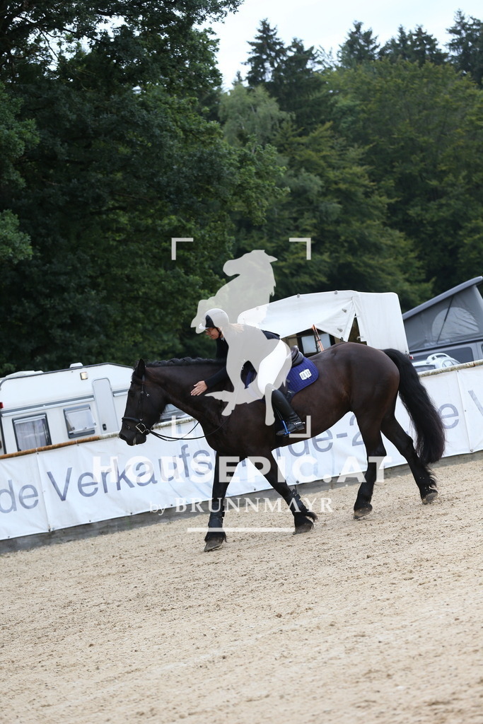 DL2Q4563 | Willkommen bei Brunnmayr - Design & Fotografie – Ihrem Spezialisten für Reitturniere und Pferdeveranstaltungen in Oberösterreich, Salzburg und Bayern! Seit über 17 Jahren sind wir leidenschaftlich dabei.
