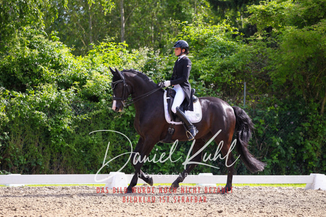 DKP41533 | Turnierfotos kaufen im Webshop von Daniel Kuhl Photography – entdecke professionelle Reitsportfotos aus Turnieren & Events. Hochwertige Turnierbilder online bestellen & sichern. Jetzt Fotos von Reitsportturnieren kaufen!