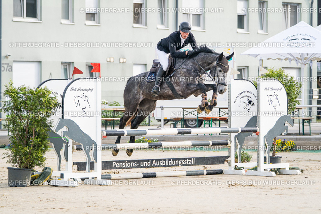 DSC07600 | Pferdegrafie