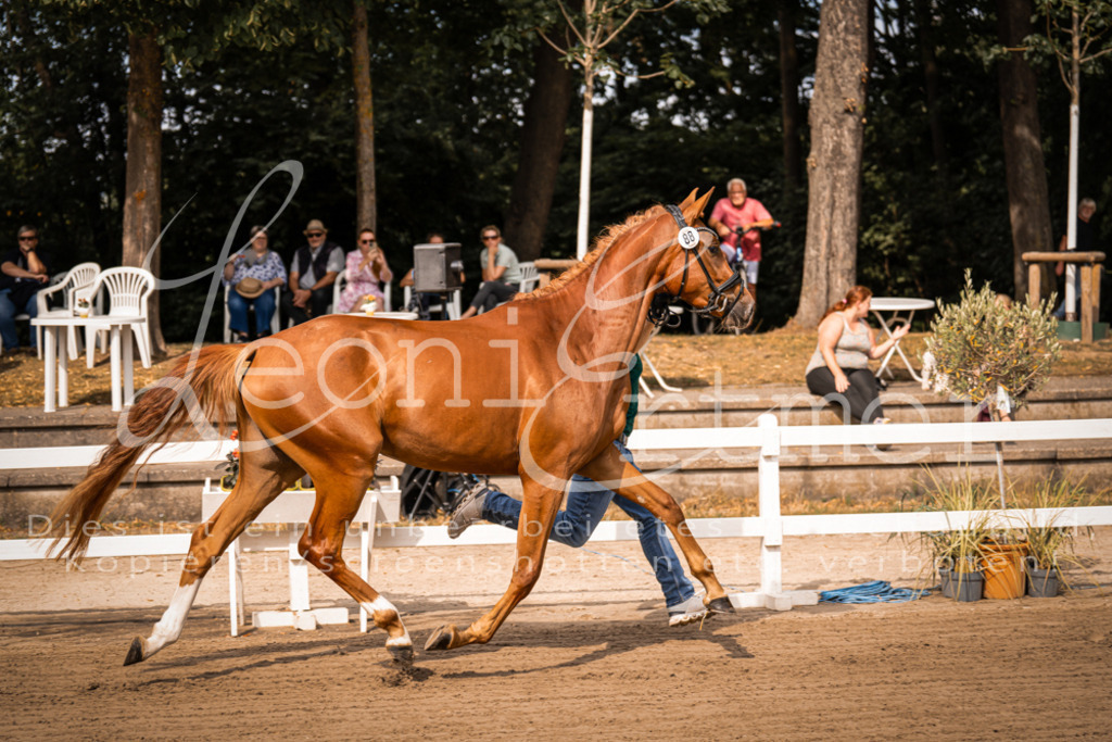 FrER00017 | Leoni Ertmer Photography - Realisiert mit Pictrs.com