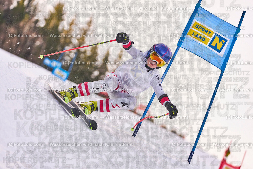 ALP0811_MastersCup-RTL-II_LKHF_Vorlaeufer_Thaller | NÖ Raiffeisen MastersCup, Jugend - Damen - Herren, Riesentorlauf-Rennen 2 auf der Fuchswaldpiste in Lackenhof am Ötscher, durchführender Verein: Schiklub Lackenhof, So 9. Februar 2025.