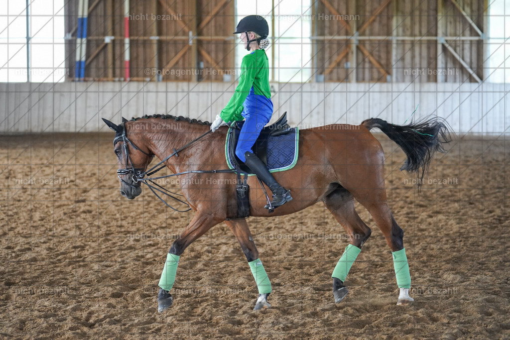 20230917-FAH09734 | Landsberg am Lech, 2023, Kaufbeuren, Kempten, Allgäu, Turnierfotografen Bayern, Fotoagentur Herrmann, Turnierbilder, Reitsport Fotos, Pferdefotograf, Augsburg, Bad Tölz, Dachau, Karlsfeld, Memmingen, Buchloe, Schwabmünchen