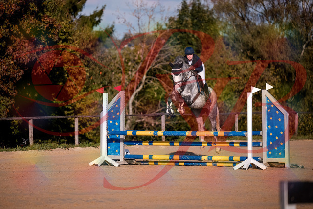 2026_10_03_Siefer-Hof_171412_Z81_11538292 | Professionelle Reitsport-, Turnier- und Eventfotografie von Robert Broda. Galerien mit ausgewählten und bearbeiteten Bildern direkt online ansehen und bestellen.