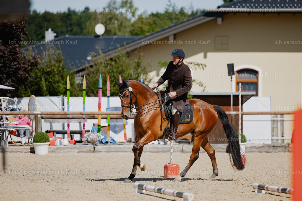 Gernot25_FHC2025-27018 | working equitationturnier fotograf videograf stoibphotography marixx film working equitation deutschland reitsport turnierfotografie eventfotografie equestrian events
