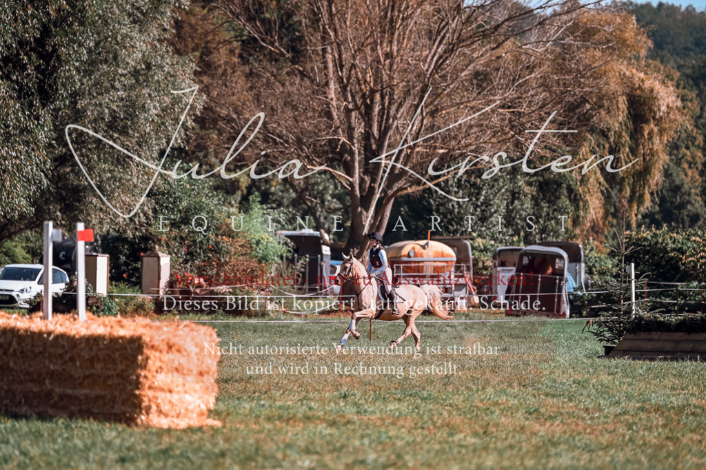 DSC_1123 | Pferde- und Turnierfotografie in Westsachsen. Pferdeportraits, Auftragszeichnungen und intuitive Kunst.