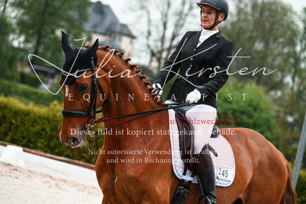 DSC_4433 | Pferde- und Turnierfotografie in Westsachsen. Pferdeportraits, Auftragszeichnungen und intuitive Kunst.