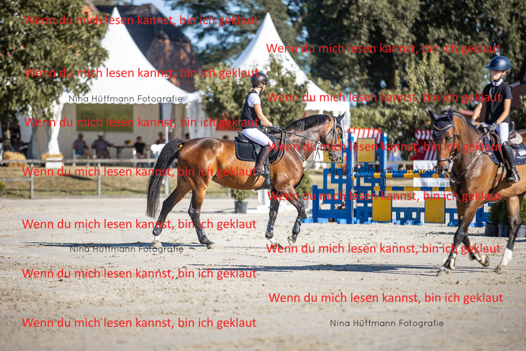 BK1A7423 | Turnierbilder Turnierfotos Nina Hüffmann Turnierfotografie Pferdefotografie Tierzeichnung Haustierzeichnung Pferdezeichnung Hundezeichnung Videograf  - Realisiert mit Pictrs.com