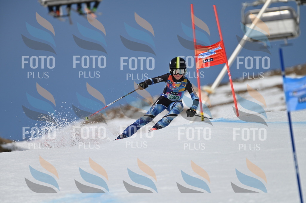 BGV_6537 | holidayphoto