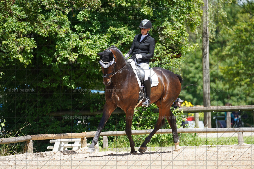 20240705-FAH03436 | Turnierbilder von Grafing, Reitsportbilder, Turnierfotos, Turnierfotografen Bayern, Pferdefotograf, Fotoagentur Herrmann