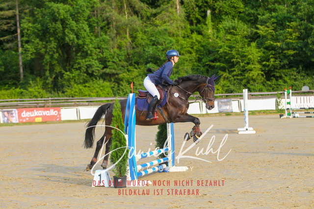 DKP40869 | Turniersportfotografie; Pferdefotografie; Dressurfotografie