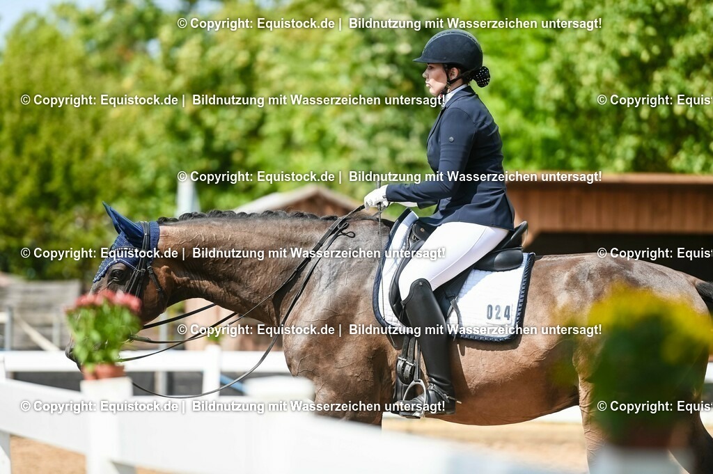 20230716_01_Dressurprüfung Kl.M_0315 | equistock