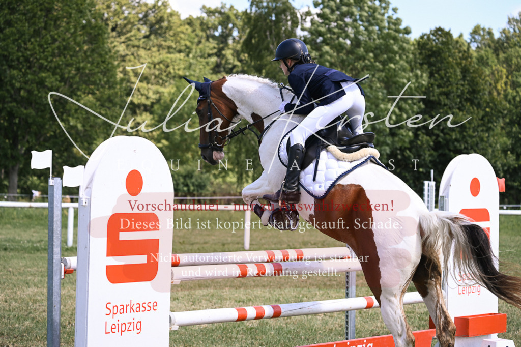 DSC_0346 | Pferde- und Turnierfotografie in Westsachsen. Pferdeportraits, Auftragszeichnungen und intuitive Kunst.