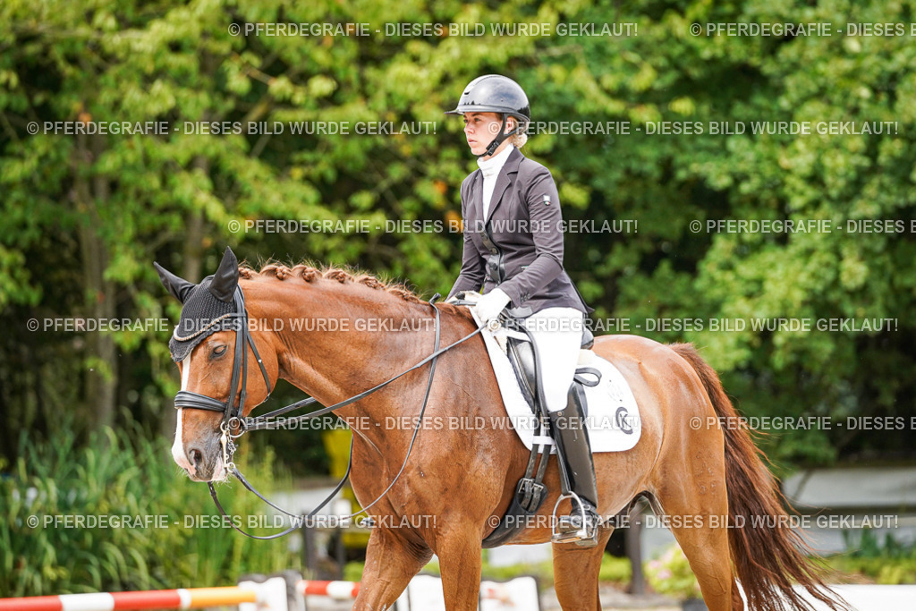 DSC05372 | Pferdegrafie