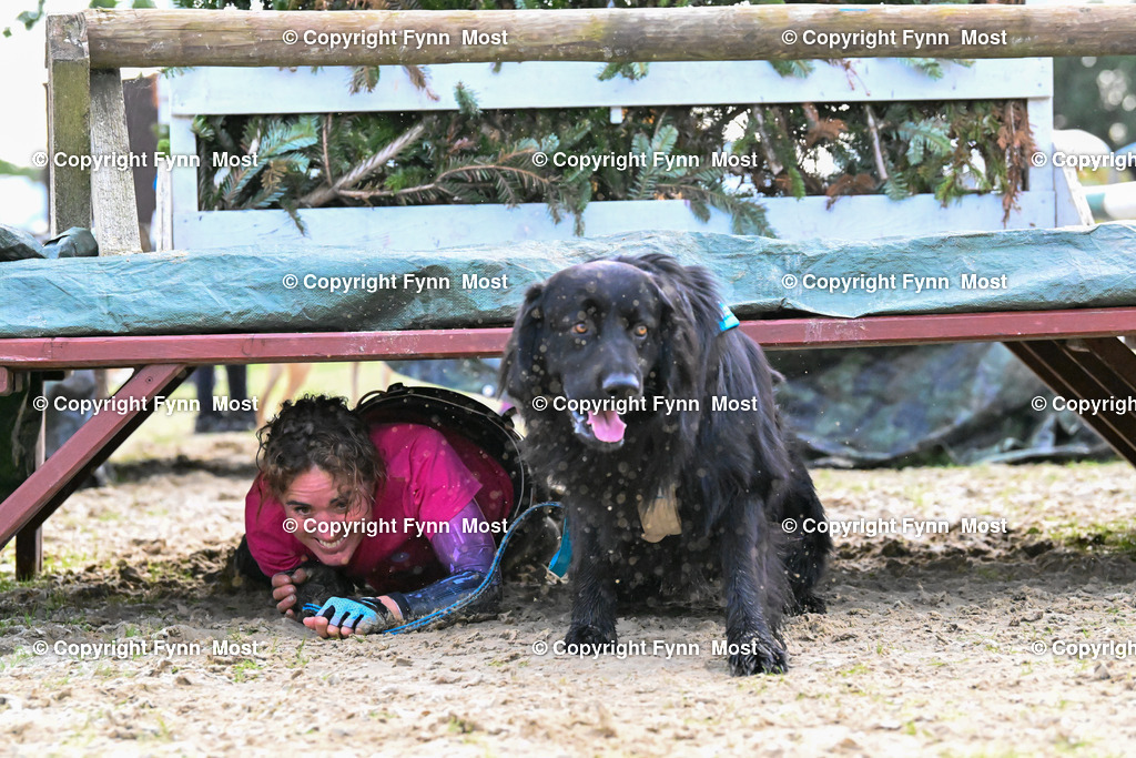 DSC_4741 | Hallo und herzlich Willkommen auf meiner Shop-Seite Fynn Most.

Ich wünsche Dir viel Spaß beim stöbern durch die Bilder, wenn Du Fragen hast oder Bilder vermisst, kannst du mir gerne eine Nachricht schreiben. - Realisiert mit Pictrs.com