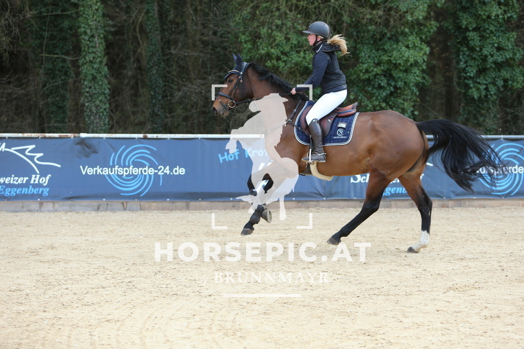 DL2Q0211 | Willkommen bei Brunnmayr - Design & Fotografie – Ihrem Spezialisten für Reitturniere und Pferdeveranstaltungen in Oberösterreich, Salzburg und Bayern! Seit über 17 Jahren sind wir leidenschaftlich dabei.