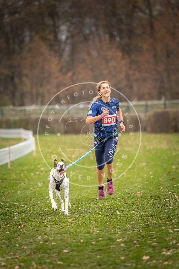 CaniXpix_DV3A6874 | Hundefotografie, Tierfotograf, Pfotenfotografie, Fotoshooting Hund, Hunde Portrait, Hundesport, Hundeportraits, Heideshooting, Hunde, Sportfotograf, Hundefotograf, Turnierhundsport, THS,  - Realisiert mit Pictrs.com