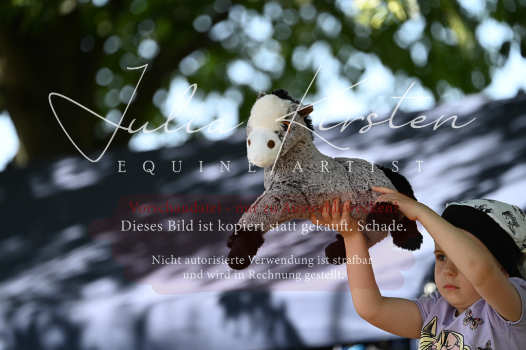 DSC_1761 | Pferde- und Turnierfotografie in Westsachsen. Pferdeportraits, Auftragszeichnungen und intuitive Kunst.