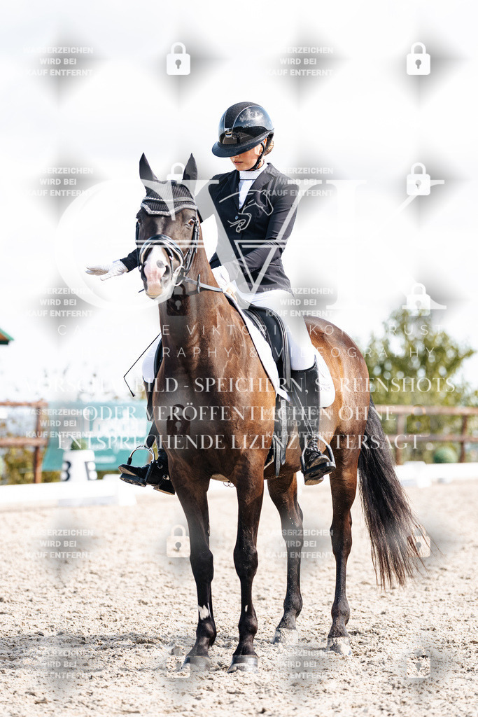 CK902169 | Turnierfotografie Pferdefotografie Trier Rheinland-Pfalz Pferdesport Reitsport Tierfotografie Sportfotografie Pferdevideo Pferdevideografie Equestrianvideography equestrianphotography  - Realisiert mit Pictrs.com