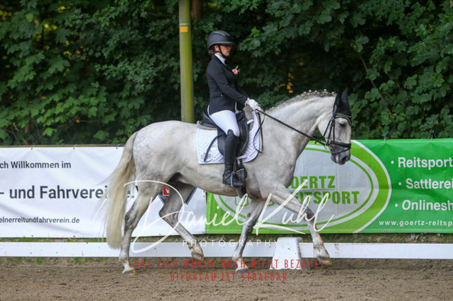 DKP43183 | Turniersportfotografie; Pferdefotografie; Dressurfotografie