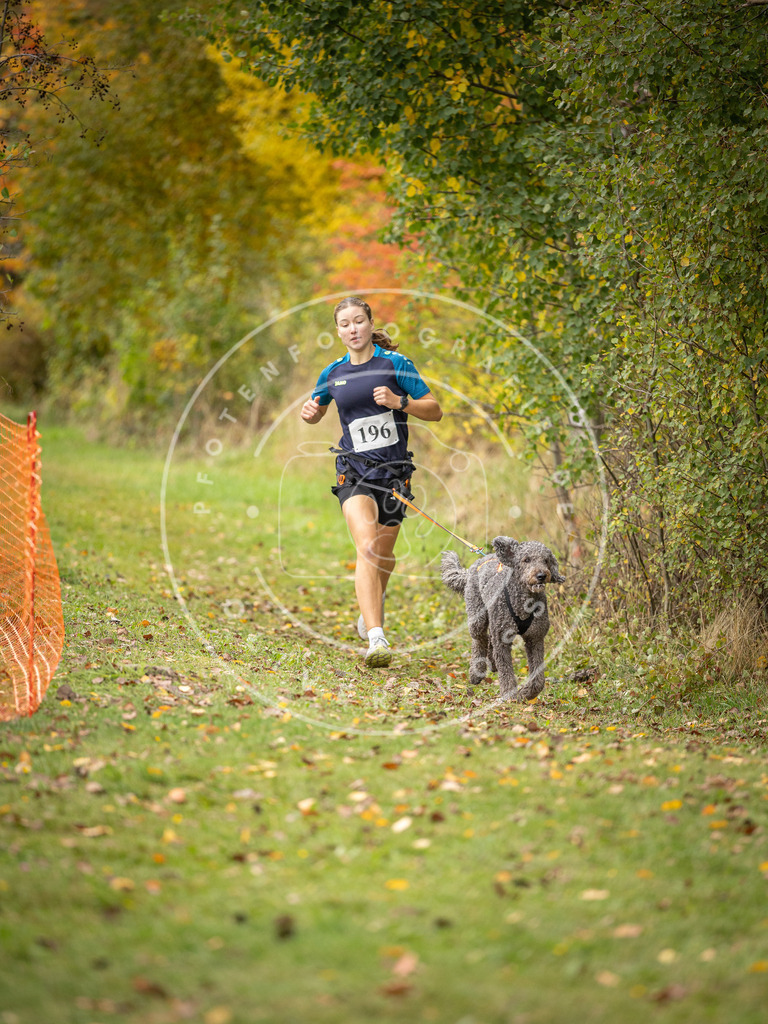 Pfotenfotografie_DV3A3852 | Hundefotografie, Tierfotograf, Pfotenfotografie, Fotoshooting Hund, Hunde Portrait, Hundesport, Hundeportraits, Heideshooting, Hunde, Sportfotograf, Hundefotograf, Turnierhundsport, THS,  - Realisiert mit Pictrs.com