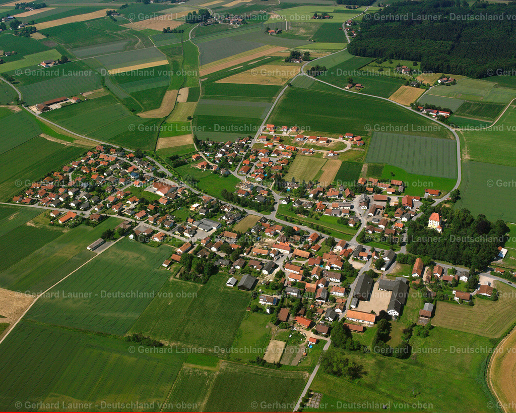 2518104 | Loham, Mariaposching